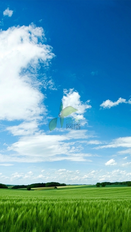 WZ125C֙CW(wng)վO